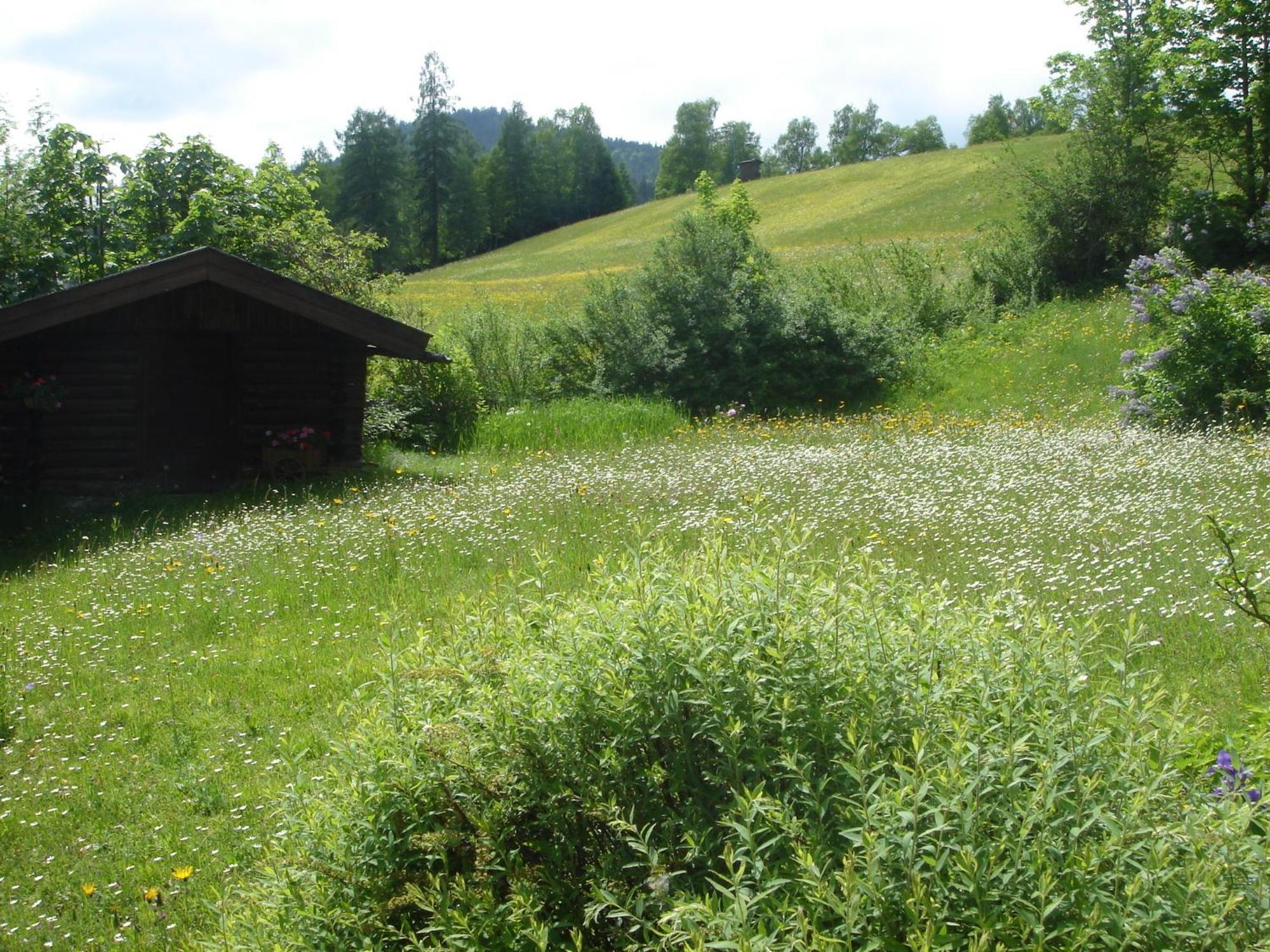 Landhaus Frenes Apartments Seefeld in Tirol Bagian luar foto